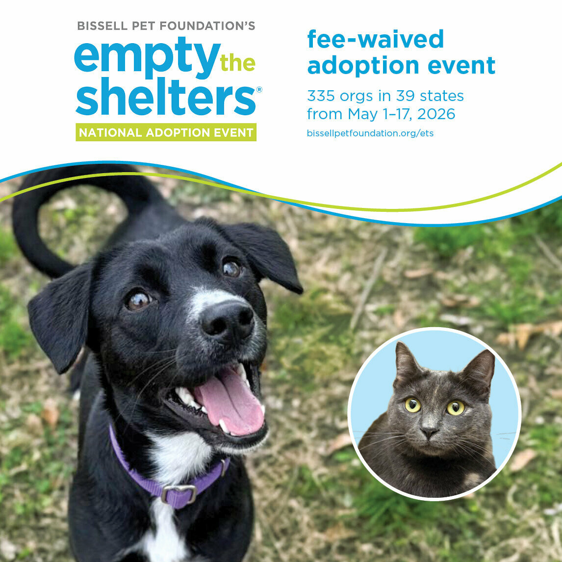 Photo of a black dog and grey cat to promote Dallas Animal Services will be participating in Bissell Pet Foundation Empty the Shelters Free Adoption Event May 1-17