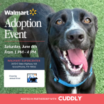 Join CUDDLY and Dallas Animal Services for a Walmart Adoption Event! Saturday, June 6th, 1 pm to 4pm 2650 S STATE HIGHWAY 161, GRAND PRAIRIE Come meet sweet dogs ready for their forever homes. Your new best friend could be waiting! While you're there, check out CUDDLY food, made with high-quality ingredients to keep your pets happy, healthy, and thriving. For every bag you buy, we donate a meal to a shelter pet in need. Buy a Bag, Donate a Meal, and help us feed animals waiting for their forever homes.
