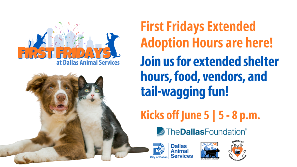 First Fridays at Dallas Animal Services, photo of a cat and dog, First Fridays Extended Adoption Hours are here! Join us for extended shelter hours, food, vendors, and tail-wagging fun! Kicks off June 5 | 5 - 8 p.m. The Dallas Foundation Logo, Dallas Animal Services Logo, Be Dallas 90 Logo, Friends of Dallas Animal Services Logo