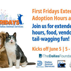 First Fridays at Dallas Animal Services, photo of a cat and dog, First Fridays Extended Adoption Hours are here! Join us for extended shelter hours, food, vendors, and tail-wagging fun! Kicks off June 5 | 5 - 8 p.m. The Dallas Foundation Logo, Dallas Animal Services Logo, Be Dallas 90 Logo, Friends of Dallas Animal Services Logo