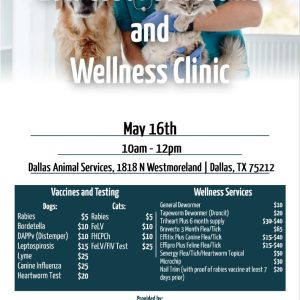 Low Cost Pet Vaccine and Wellness Clinic. May 16th. 10AM – 12PM. Dallas Animal Services, 1818 North Westmoreland Rd, Dallas, TX 75212. Vaccines and Testing prices for dogs: Rabies - $5. Bordatella - $10. DAPPv (Distemper) - $10. Leptospirosis - $15. Lyme - $25. Canine Influenza - $25. Heartworm Test - $20. Vaccines and Testing prices for cats: Rabies - $5. FeLV - $10. FHCPCh - $10. FeLV/FIV Test - $25. Wellness Services prices: General Dewormer - $10. Tapeworm Dewormer (Droncit) - $20. Triheart Plus 6 month supply - $30-$40. Bravecto 3 month Flea/Tick - $65. Effitix Plus Canine Flea/Tick - $15-40. Effipro Plus Feline Flea/Tick - $15-$40. Senergy Flea/Tick/Heartworm Topical - $50. Microchip - $30. Nail Trim (with proof of rabies vaccine at least 7 days prior) - $20. Provided by the Texas Coalition for Animal Protection. TexasForThem.org. (940) 566-5551.