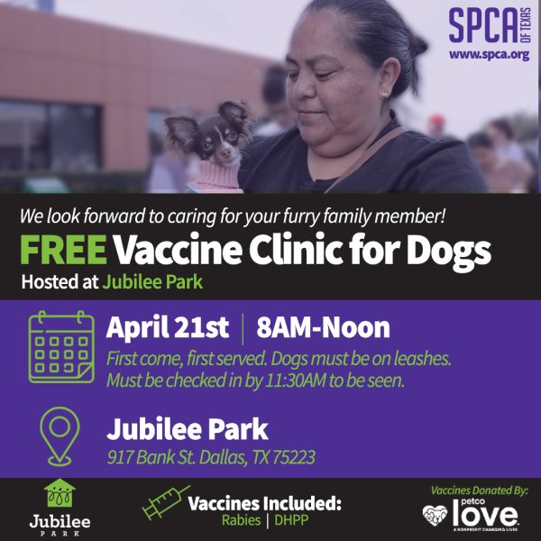 FREE Vaccine Clinic at Jubilee Park (SPCA of Texas) - Be Dallas 90