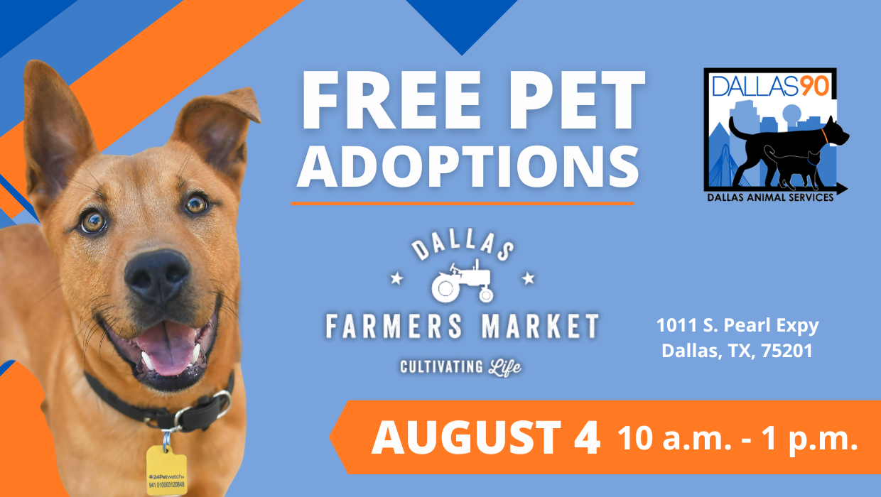 Free Adoptions at Dallas Farmers Market - Be Dallas 90