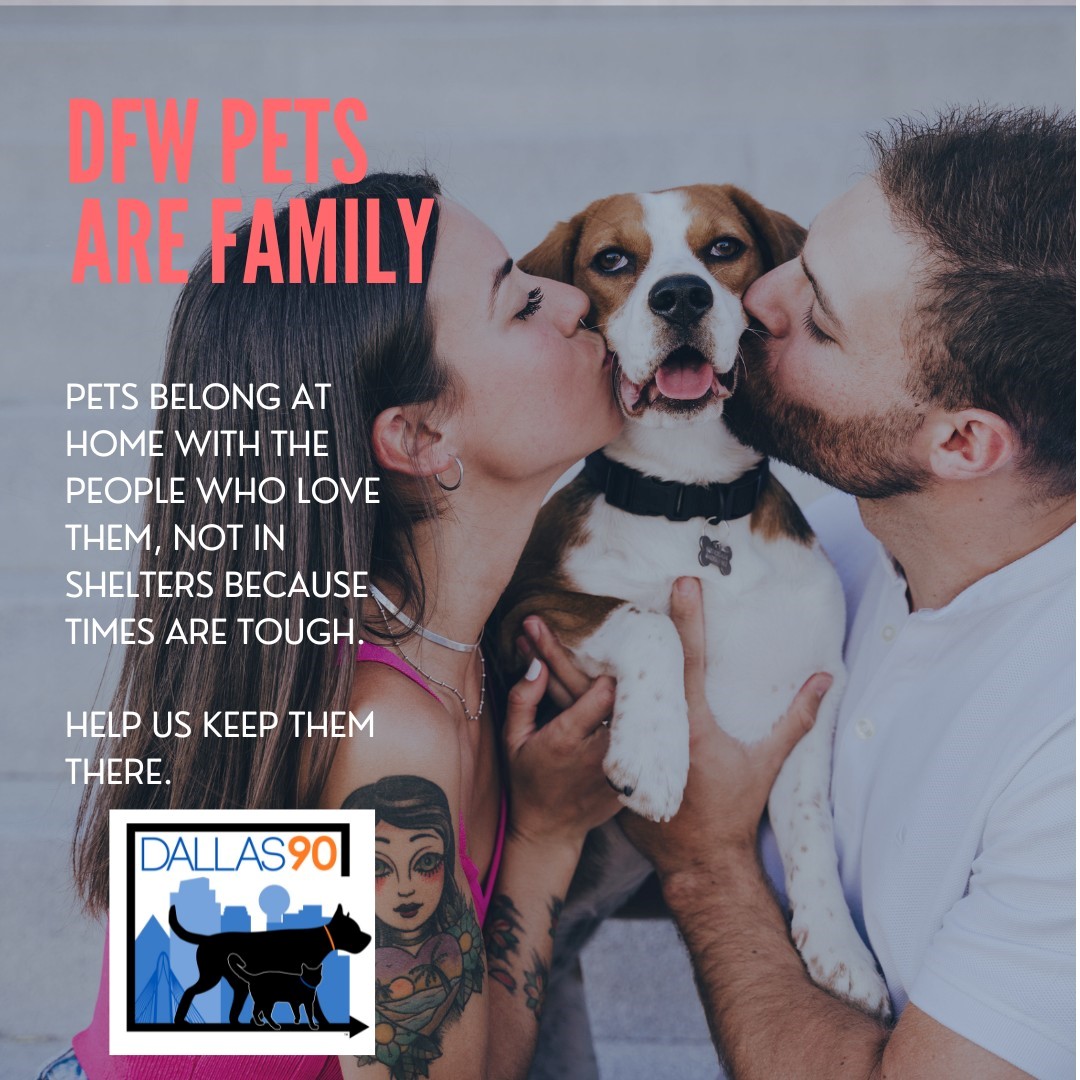 Woman and man kissing a dog advertising the DFW Pets Are Family event
