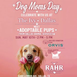 Dogs Moms Day celebrate with us at The Ivy Dallas to meet adoptable pups from Dallas Animal Services, Sunday, May 10, 2-5pm. This event is in partnership with Rahr to the Rescue and Rahr Brewing Company,